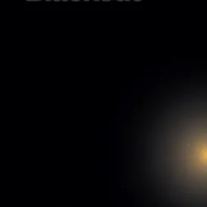 Non Perdere Blackout. Allora & Calzadilla. Ediz. italiana e inglese