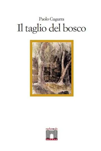 Non Perdere Il taglio del bosco