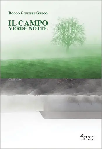 Offerta Il campo verde notte