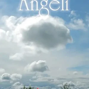 Offerta Limitata Angeli