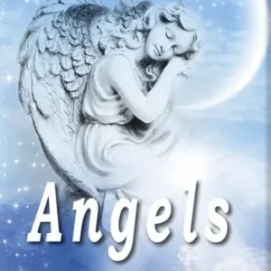Angels Vendita Finale