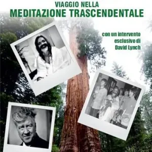 Boom! Viaggio nella meditazione trascendentale Popolare