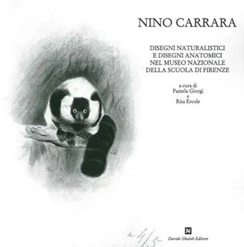 Professionale Nino Carrara. Disegni naturalistici e disegni anatomici nel Museo nazionale della scuola di Firenze. Ediz. illustrata