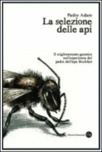 Esclusivo La selezione delle api. Il miglioramento genetico nell‘esperienza del padre dell‘ape Buckfast