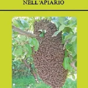 Compra Oggi Stesso Guida al controllo della sciamatura nell‘apiario