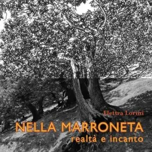 Ultima Occasione Nella marroneta. Realtà e incanto