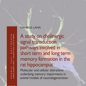 Promo Stagionale A study on cholinergic signal transduction pathways involved in short term and long term memory formation in the rat hippocampus. Molecular and cellular alterations underlying memory impairments in animal models of neurodegeneration