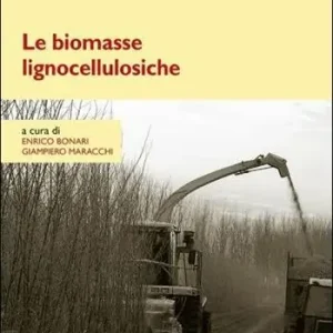 Promo Stagionale Le biomasse lignocellulosiche