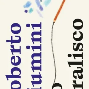 Affare Lo stralisco. Pocket. Ediz. illustrata