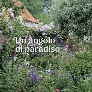 Un angolo di paradiso. Ediz. illustrata Promozione Esclusiva