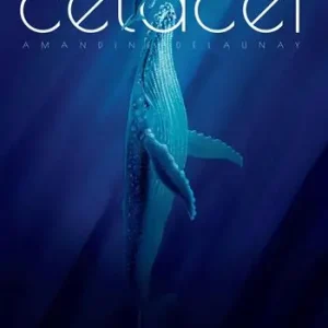 Offerta Cetacei. Album scoperte
