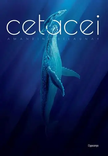 Offerta Cetacei. Album scoperte