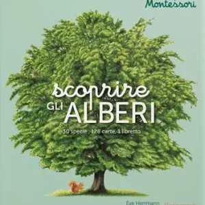 Non Perdere Scoprire gli alberi. Il mio cofanetto Montessori. Ediz. illustrata. Con 128 Carte
