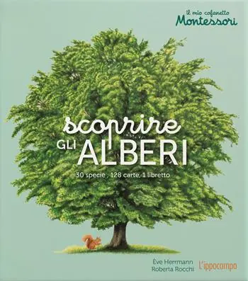 Non Perdere Scoprire gli alberi. Il mio cofanetto Montessori. Ediz. illustrata. Con 128 Carte