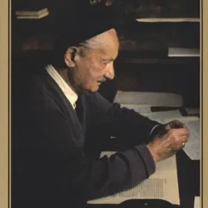 Saggi su Heidegger Economico