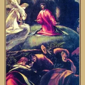 Offerta Limitata Il sogno creatore