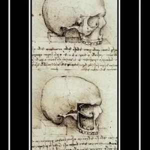 Compra Adesso La metamorfosi degli animali