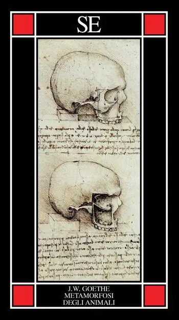 Compra Adesso La metamorfosi degli animali