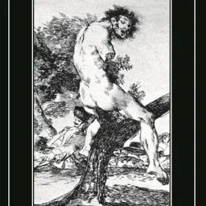 I disastri della guerra. Ediz. illustrata Ordina Subito