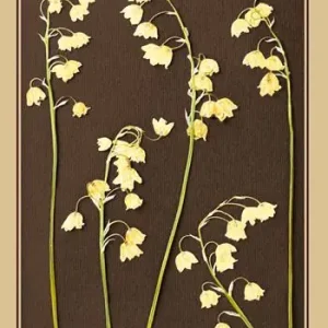 Spedito Oggi Lettere 1845-1886