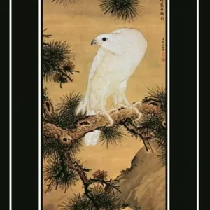 Chuang-tzu. Vita dell‘uomo che diventò perfetto Promozione