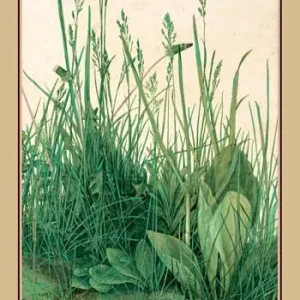 Teoria della natura Ordina Subito