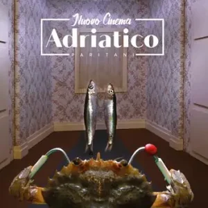 Nuovo Cinema Adriatico. Ediz. italiana e inglese Ultimissimo Modello