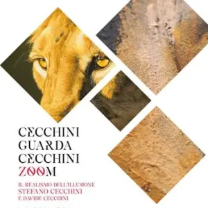 Cecchini guarda Cecchini. Zoom. Il realismo dell‘illusione Stefano Cecchini e Davide Cecchini. Catalogo della mostra. Ediz. illustrata Prezzo Scontato
