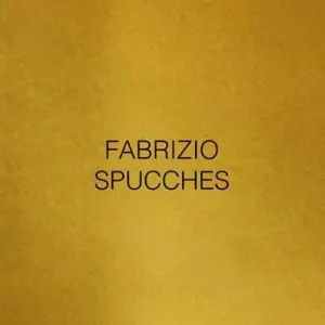 Fabrizio Spucches. Luminous Phenomena. Ediz. italiana, inglese e francese. Vol. 12 Direttamente Dal Produttore
