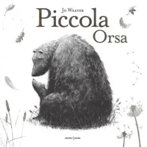 Piccola Orsa Più Venduto