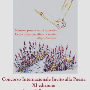 Saldi Poesia e soliodarietà. Concorso Internazionale Invito alla Poesia. Antologia delle opere premiate