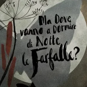 Miglior Prezzo Ma dove vanno a dormire di notte le farfalle? Ediz. a colori