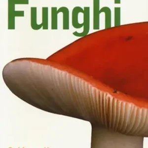 Direttamente Dal Produttore Funghi