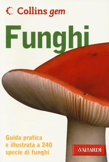 Direttamente Dal Produttore Funghi