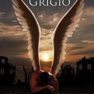 Compra Online L‘angelo grigio