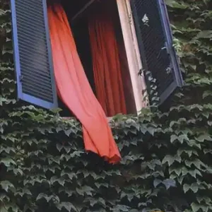 Fattacci brutti a via del Boschetto. L‘ultima inchiesta di Marè. Roma by crime. Ediz. illustrata Soddisfatti O Rimborsati