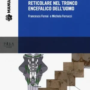 Anatomia funzionale della formazione reticolare nel tronco encefalico dell‘uomo Popolare