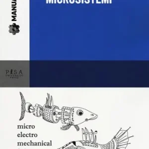 Microsistemi Affare