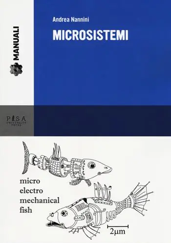 Microsistemi Affare