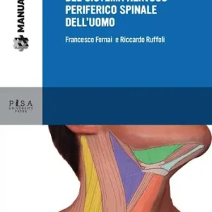 Anatomia funzionale del sistema nervoso periferico spinale dell‘uomo Più Venduto