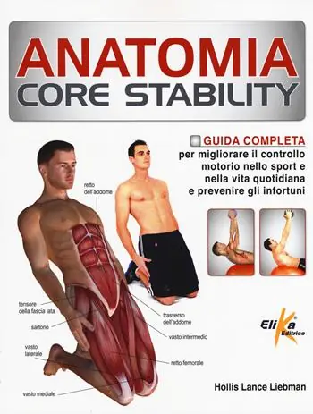 Anatomia Core Stability. Guida completa per migliorare il controllo motorio nello sport e nella vita quotidiana e prevenire gli infortuni Prezzo Conveniente
