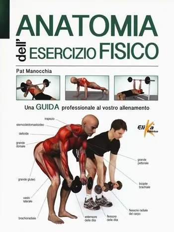 Più Venduto Anatomia dell‘esercizio fisico