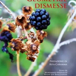 Esclusivo Geometrie dismesse