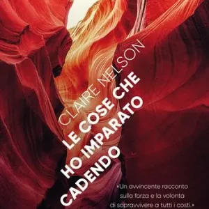 Consegna Rapida Le cose che ho imparato cadendo