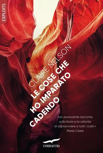 Consegna Rapida Le cose che ho imparato cadendo