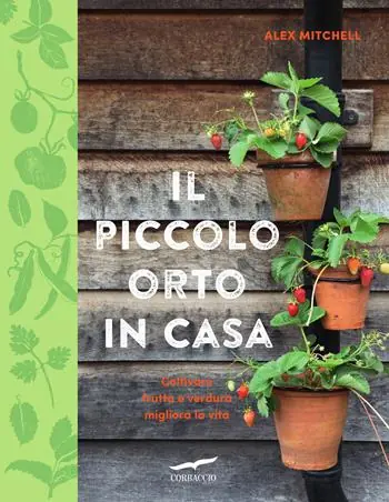Il piccolo orto in casa Soddisfatti O Rimborsati