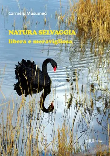 Natura selvaggia. Libera e meravigliosa. Ediz. a colori Popolare