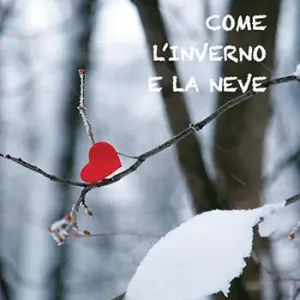 Come l‘inverno e la neve A Buon Prezzo